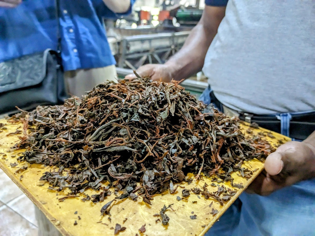 Premium Ceylon Black Tea leaves from Sri Lanka